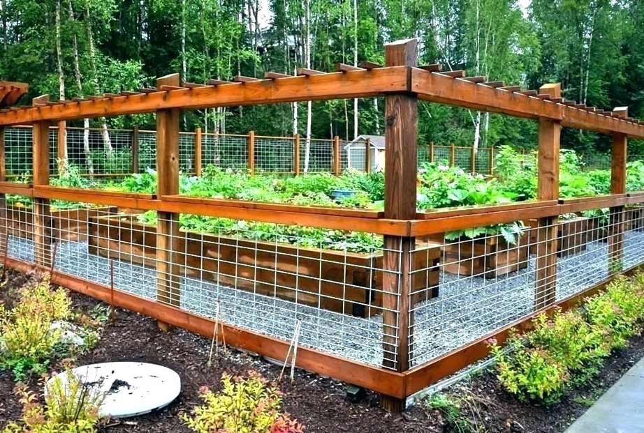 Welded Wire Fencing