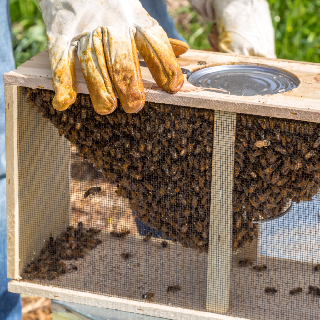 Hardware Cloth Wire Cloth Manufacturers