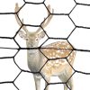 steel-wire-hex-deer-fence
