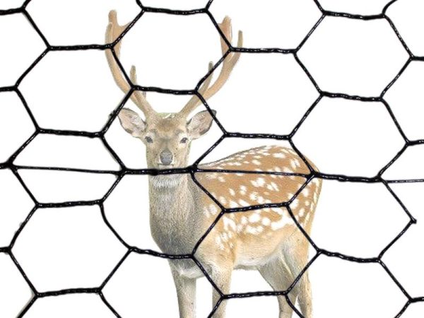 steel-wire-hex-deer-fence